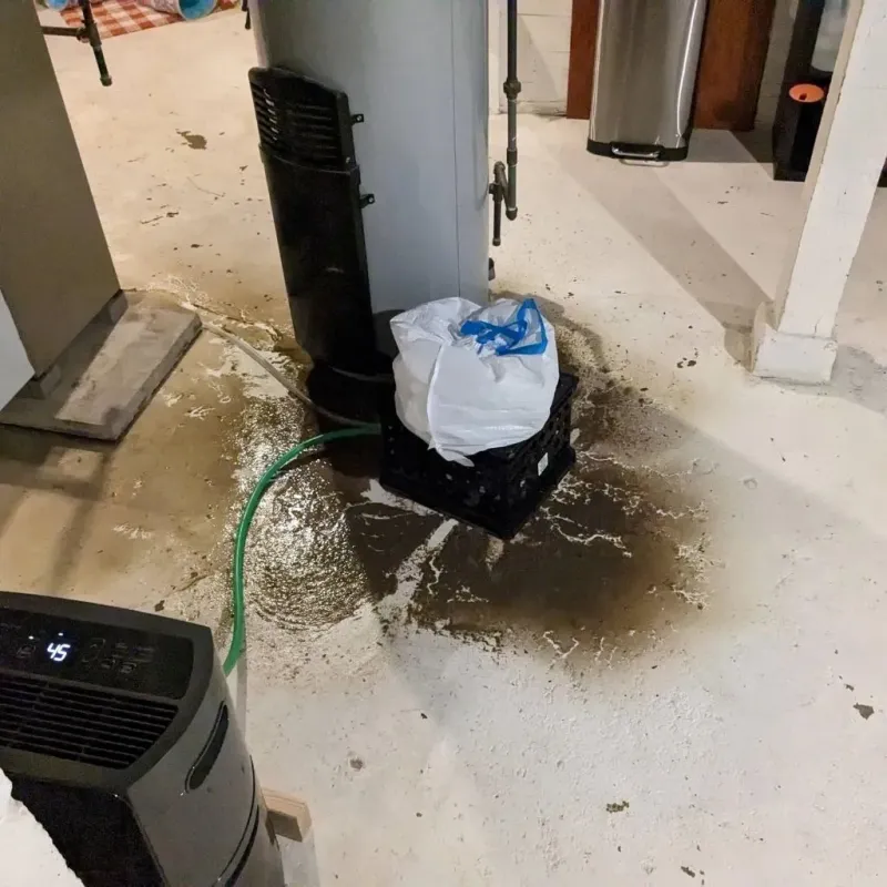 Sewage Backup Cleanup Service in Shafter, CA